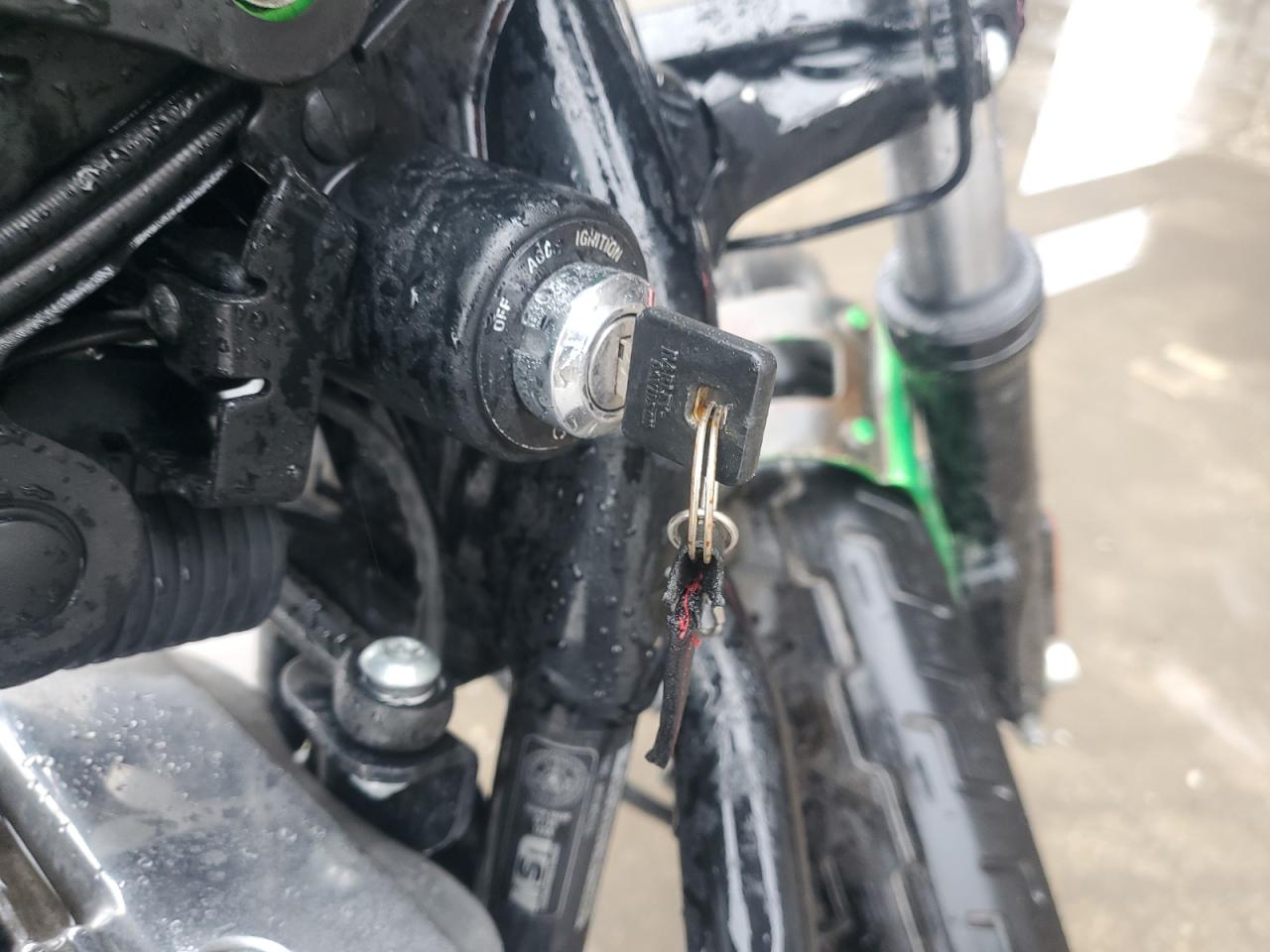 2009 Harley-Davidson Xl1200 N VIN: 1HD1CZ3119K455685 Lot: 72696374