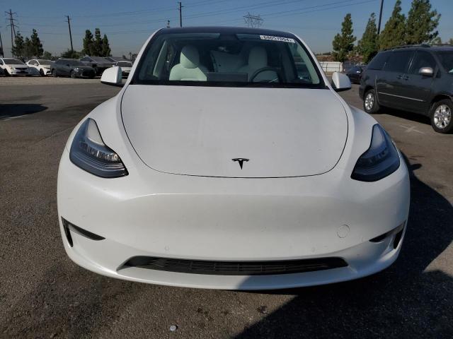 5YJYGDEE9MF231125 Tesla Model Y  5