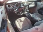 2010 Ford Mustang  for Sale in Albuquerque, NM - Front End