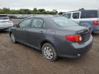 2010 Toyota Corolla Base en Venta en Hillsborough, NJ - Front End