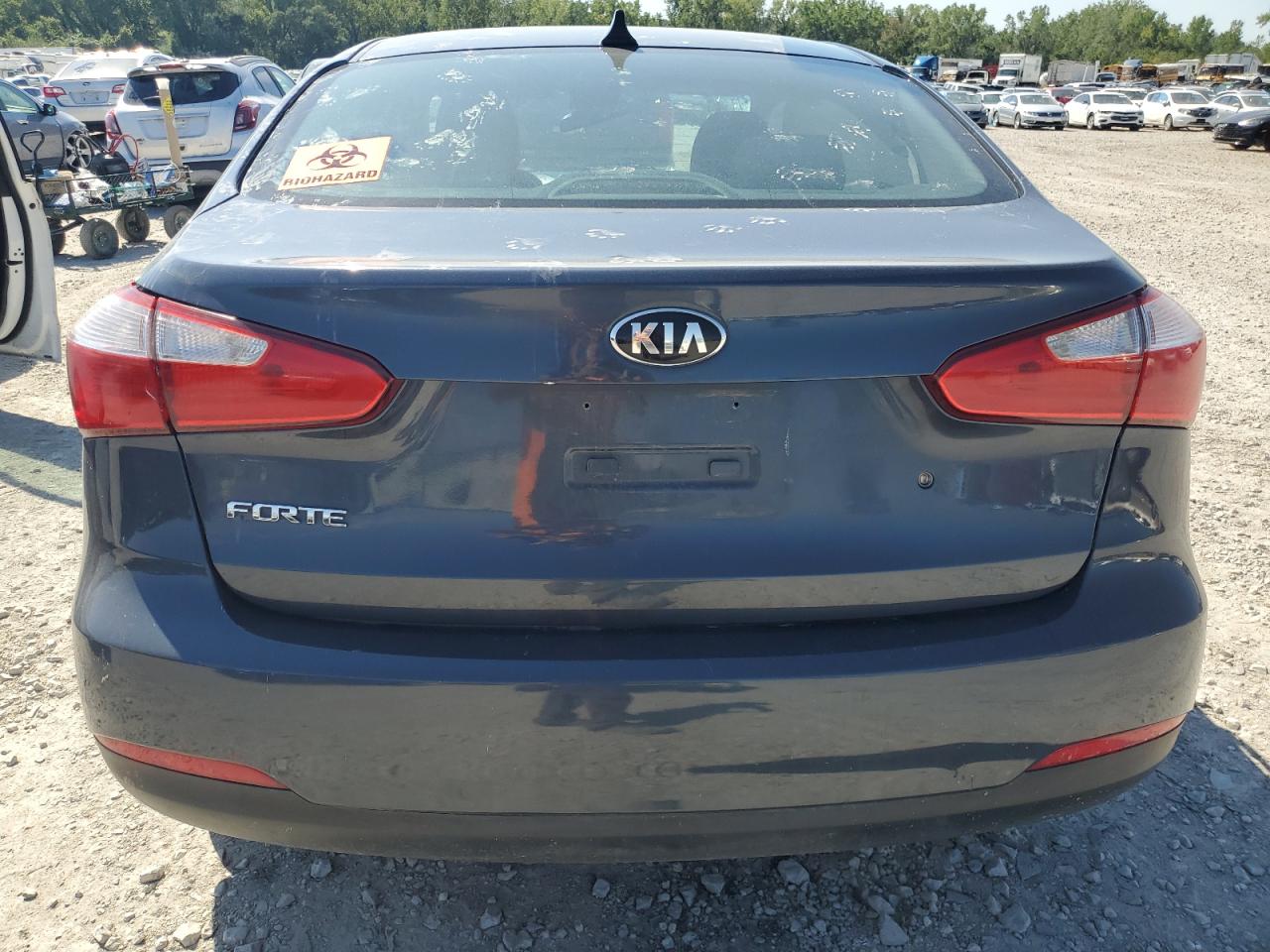 2016 Kia Forte Lx VIN: KNAFX4A60G5461824 Lot: 70193794