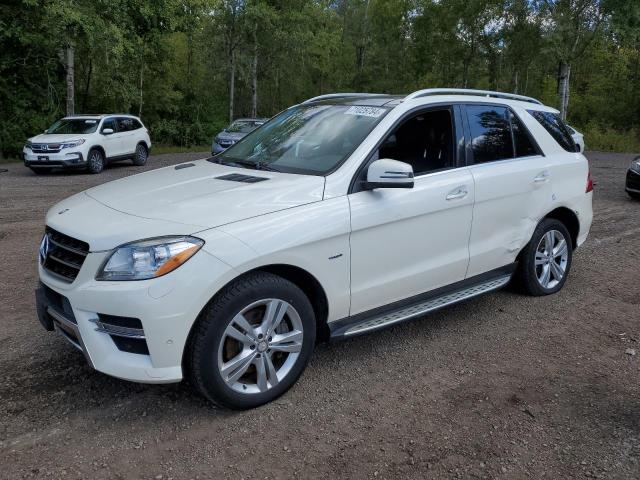 2012 Mercedes-Benz Ml 350 Bluetec