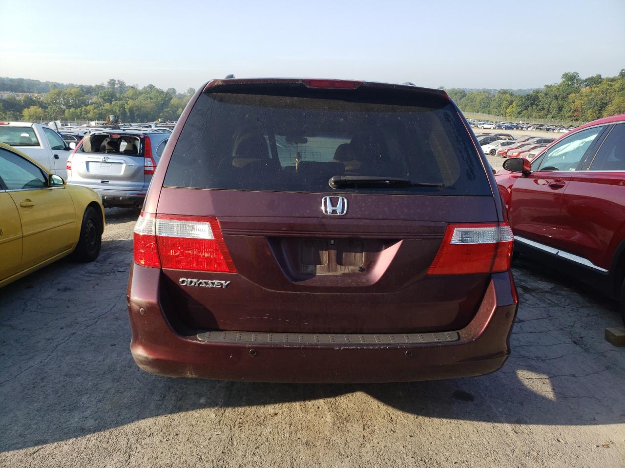 2007 Honda Odyssey Exl VIN: 5FNRL38787B456406 Lot: 71308834