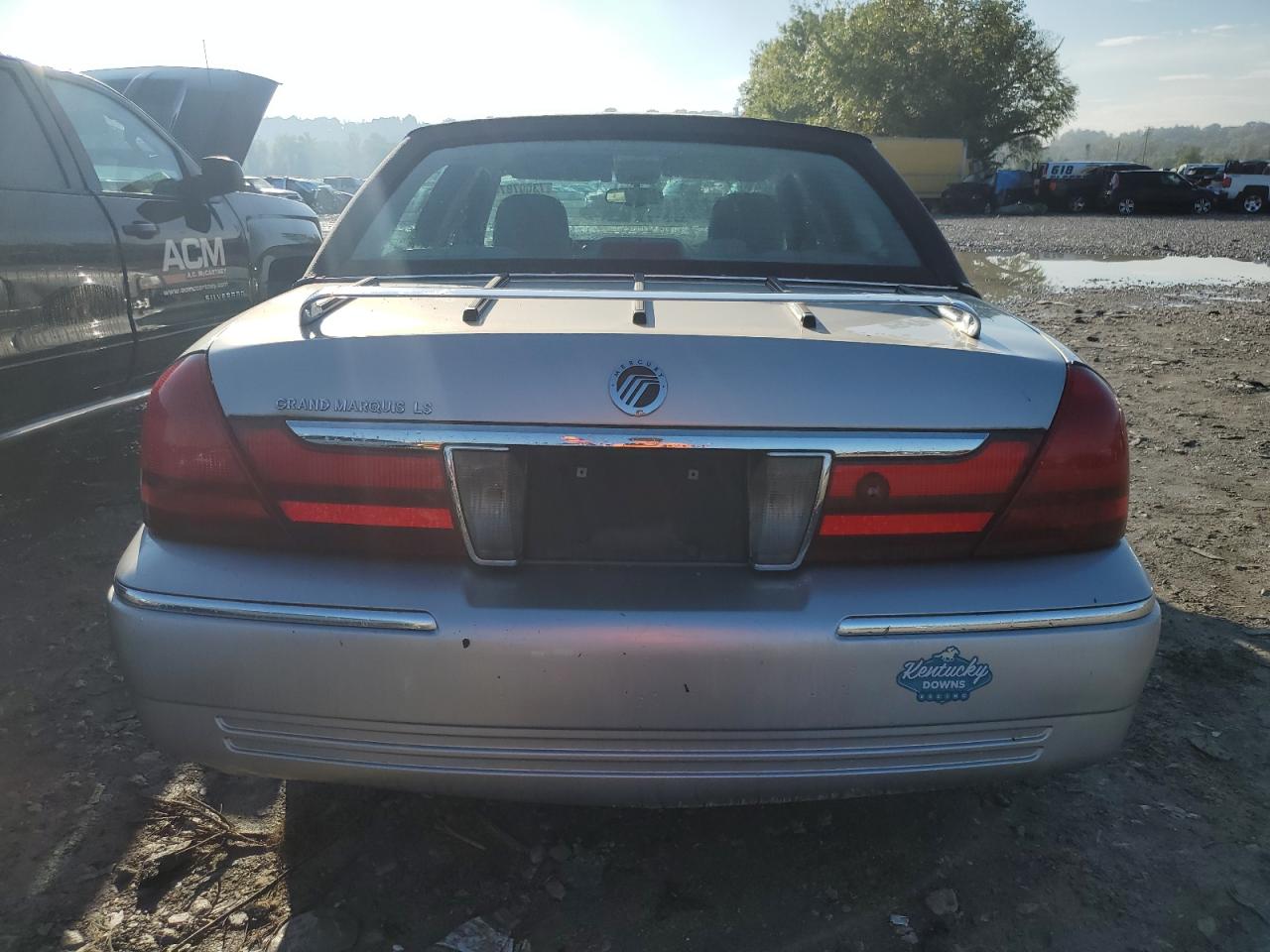 2003 Mercury Grand Marquis Ls VIN: 2MEHM75W13X710297 Lot: 73007874