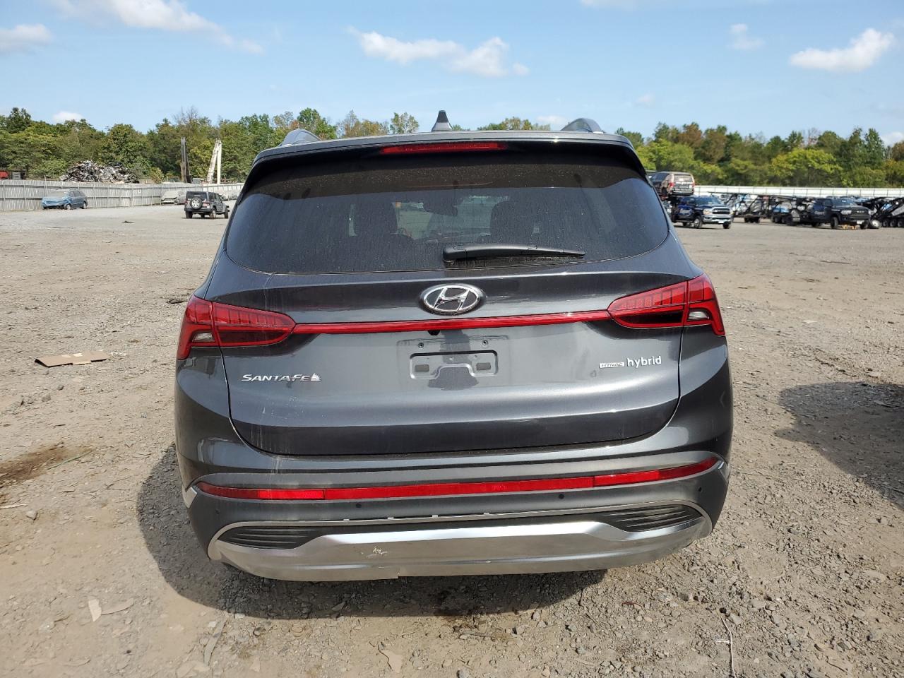 2023 Hyundai Santa Fe Limited VIN: 5NMS5DA16PH018103 Lot: 71707474