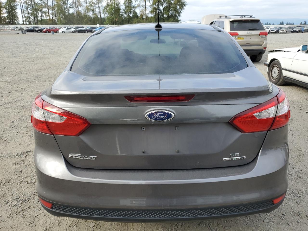 2013 Ford Focus Se VIN: 1FADP3F22DL219835 Lot: 70717804