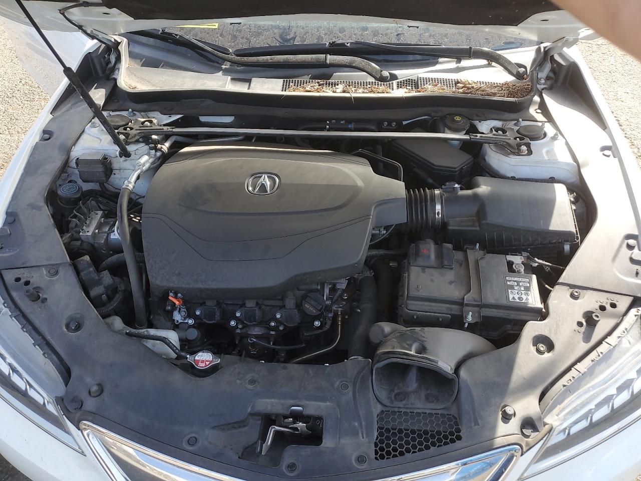 19UUB2F5XFA008329 2015 Acura Tlx Tech