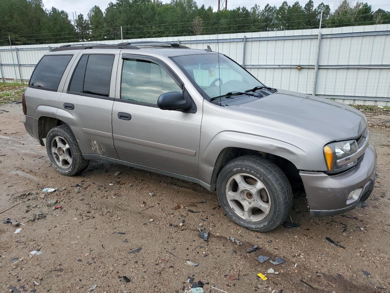 2008 Chevrolet Trailblazer Ls VIN: 1GNDS13S782160124 Lot: 72778504