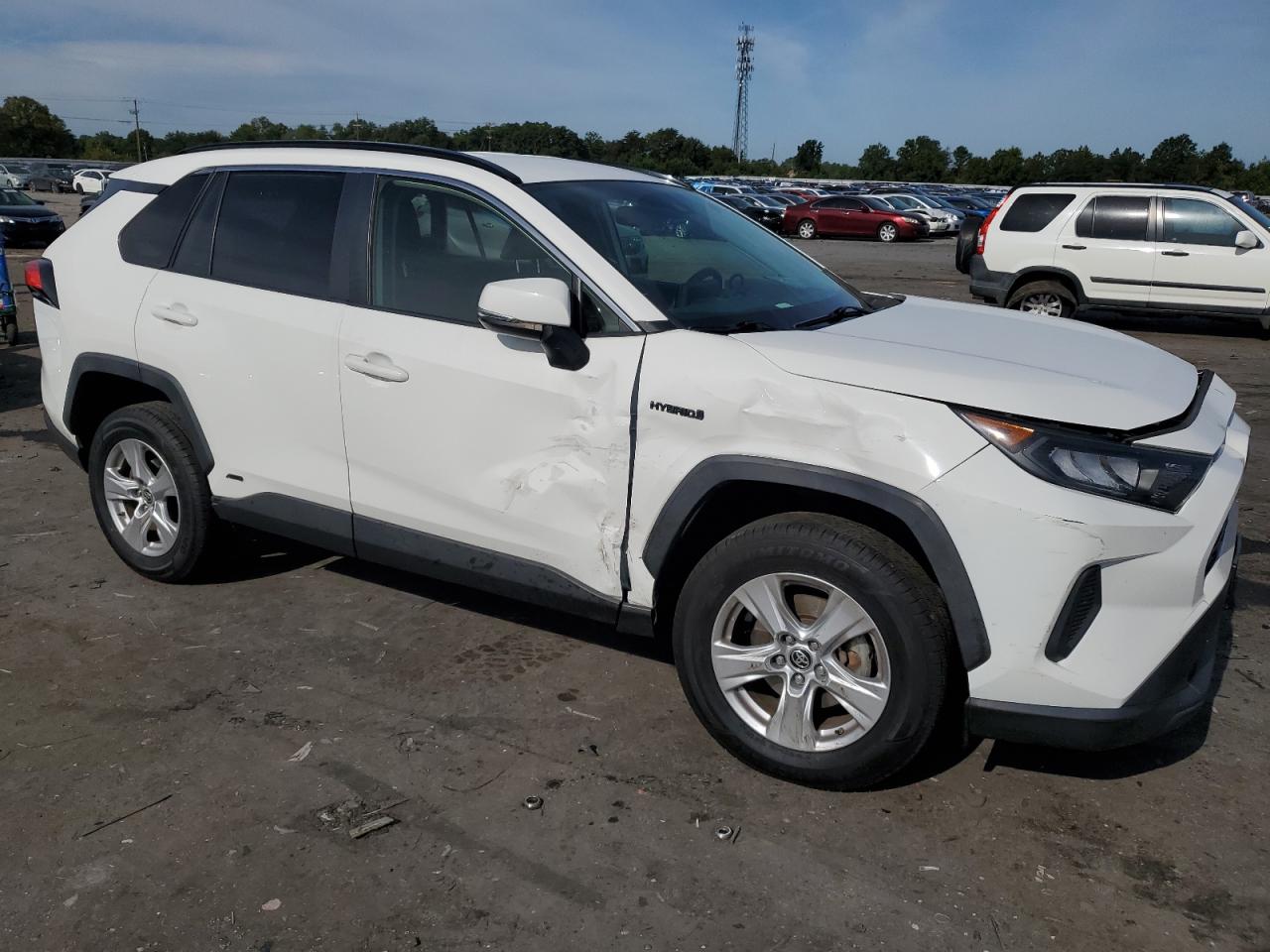 2019 Toyota Rav4 Le VIN: JTMMWRFV1KD043460 Lot: 70181734