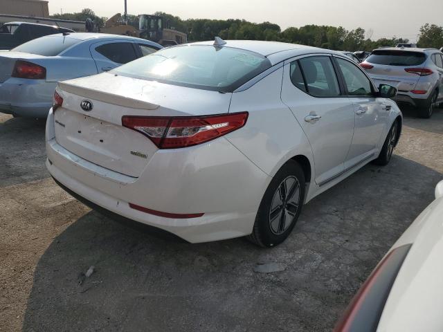 Седаны KIA OPTIMA 2013 Белы