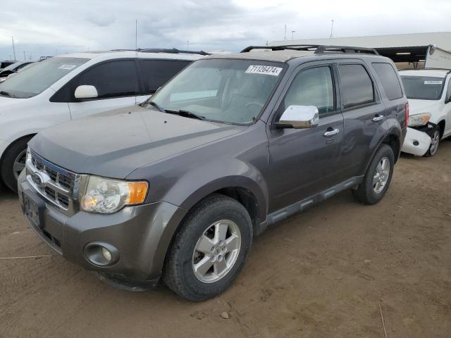 2011 Ford Escape Xlt