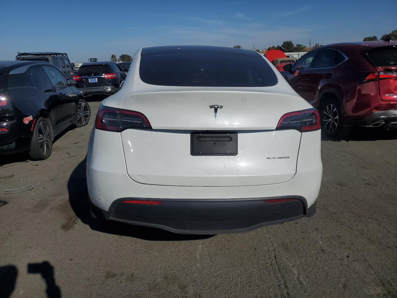 2023 Tesla Model Y VIN: 7SAYGDEE4PF747464 Lot: 71834564