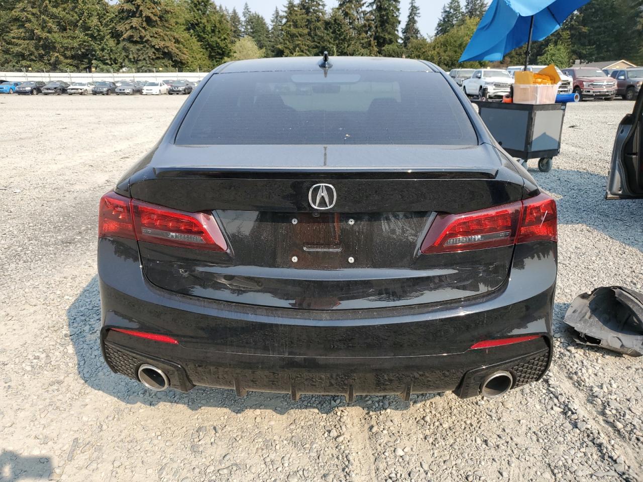 2019 Acura Tlx Technology VIN: 19UUB1F60KA800647 Lot: 70312494