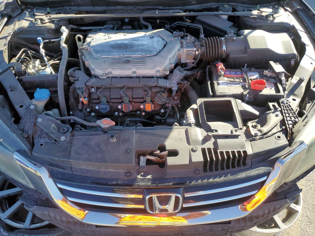 1HGCR3F86DA020711 2013 Honda Accord Exl