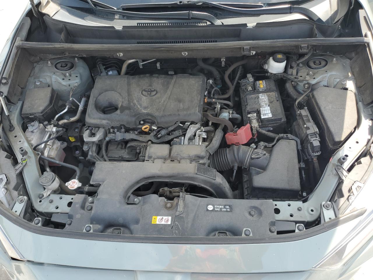 2T3W1RFV4MW160365 2021 Toyota Rav4 Xle