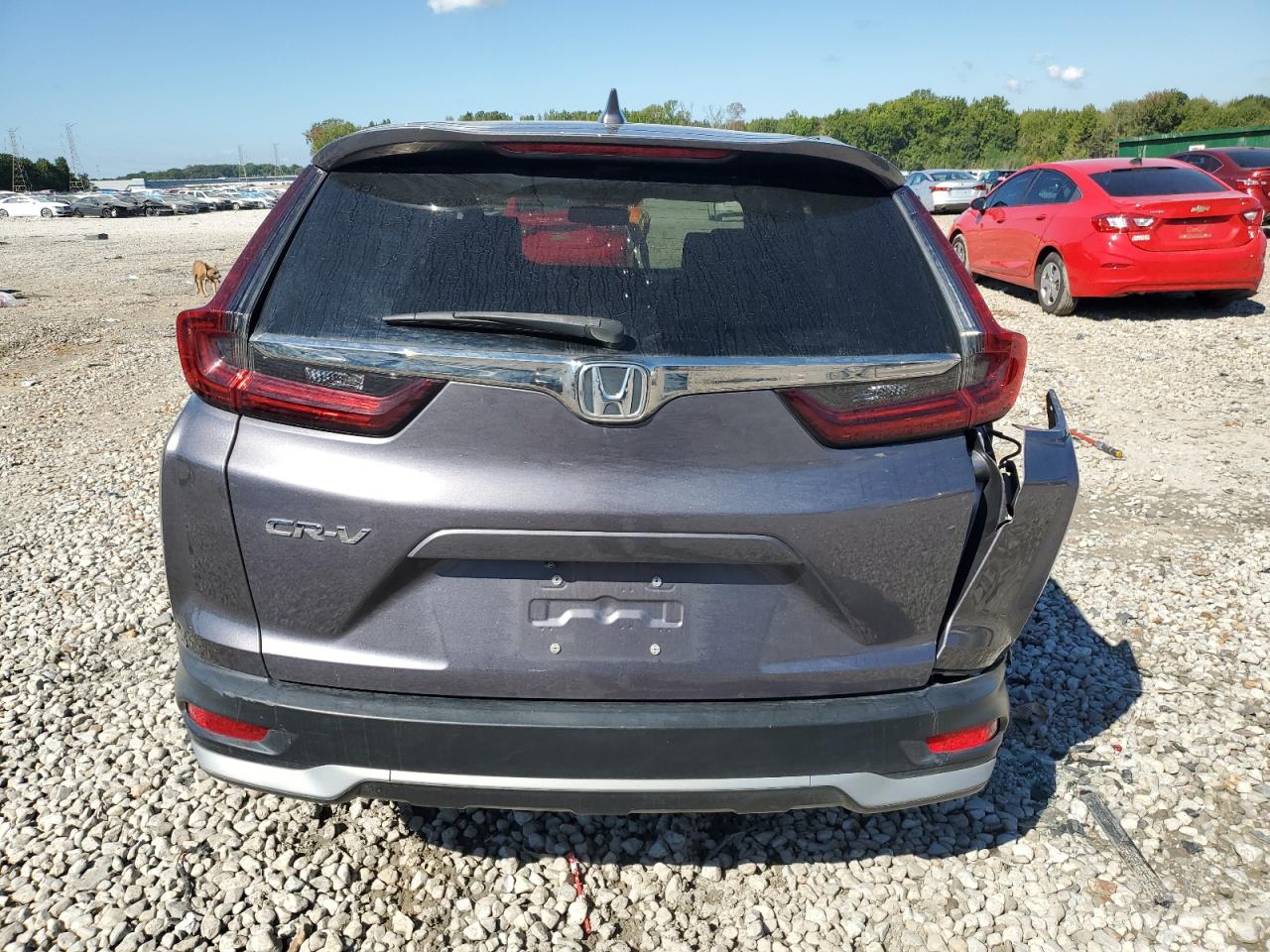 2020 Honda Cr-V Exl VIN: 7FARW1H88LE022859 Lot: 72261584