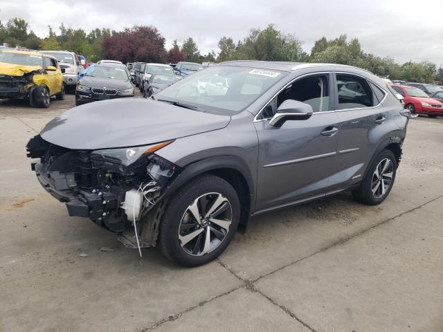  LEXUS NX 2020 Серый