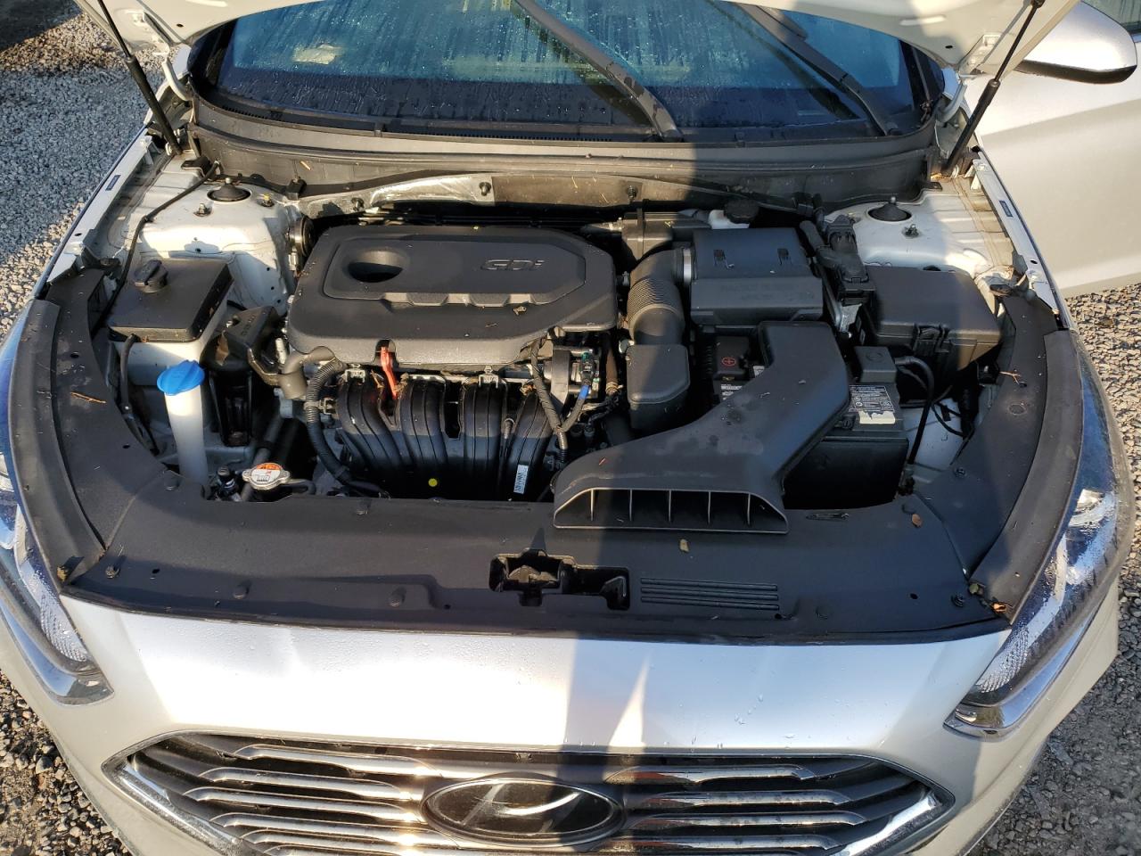 5NPE24AF0KH795633 2019 Hyundai Sonata Se