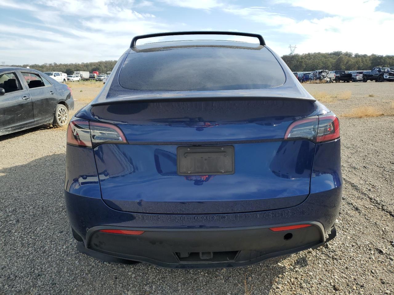 2023 Tesla Model Y VIN: 7SAYGDEFXPF787881 Lot: 71830684