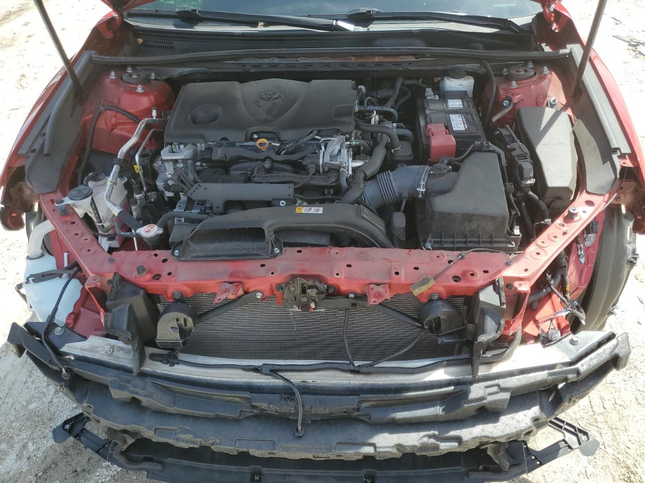 4T1B11HK8KU280923 2019 Toyota Camry L