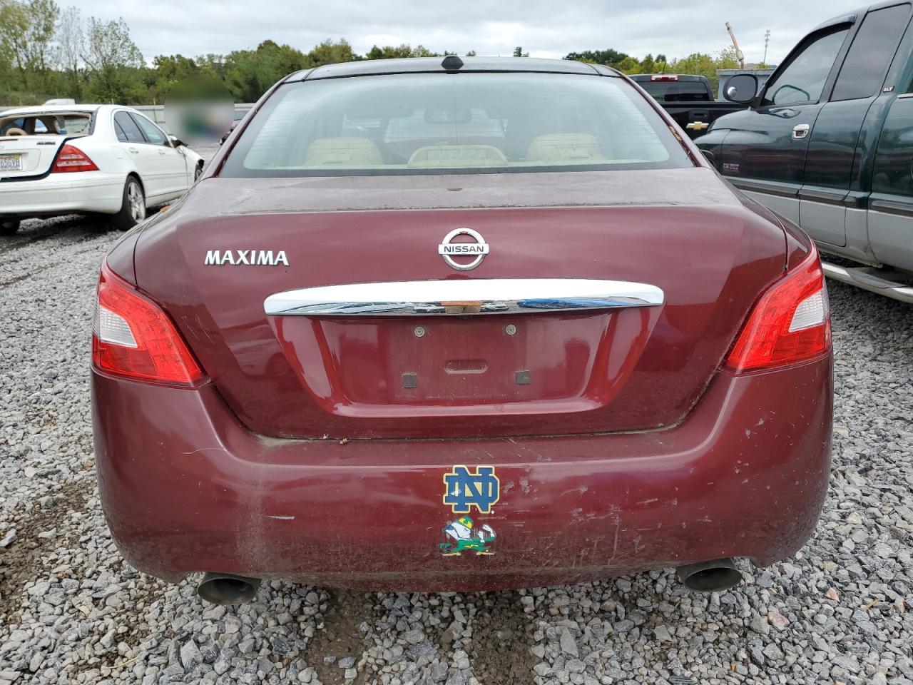 2009 Nissan Maxima S VIN: 1N4AA51E59C857604 Lot: 73026024