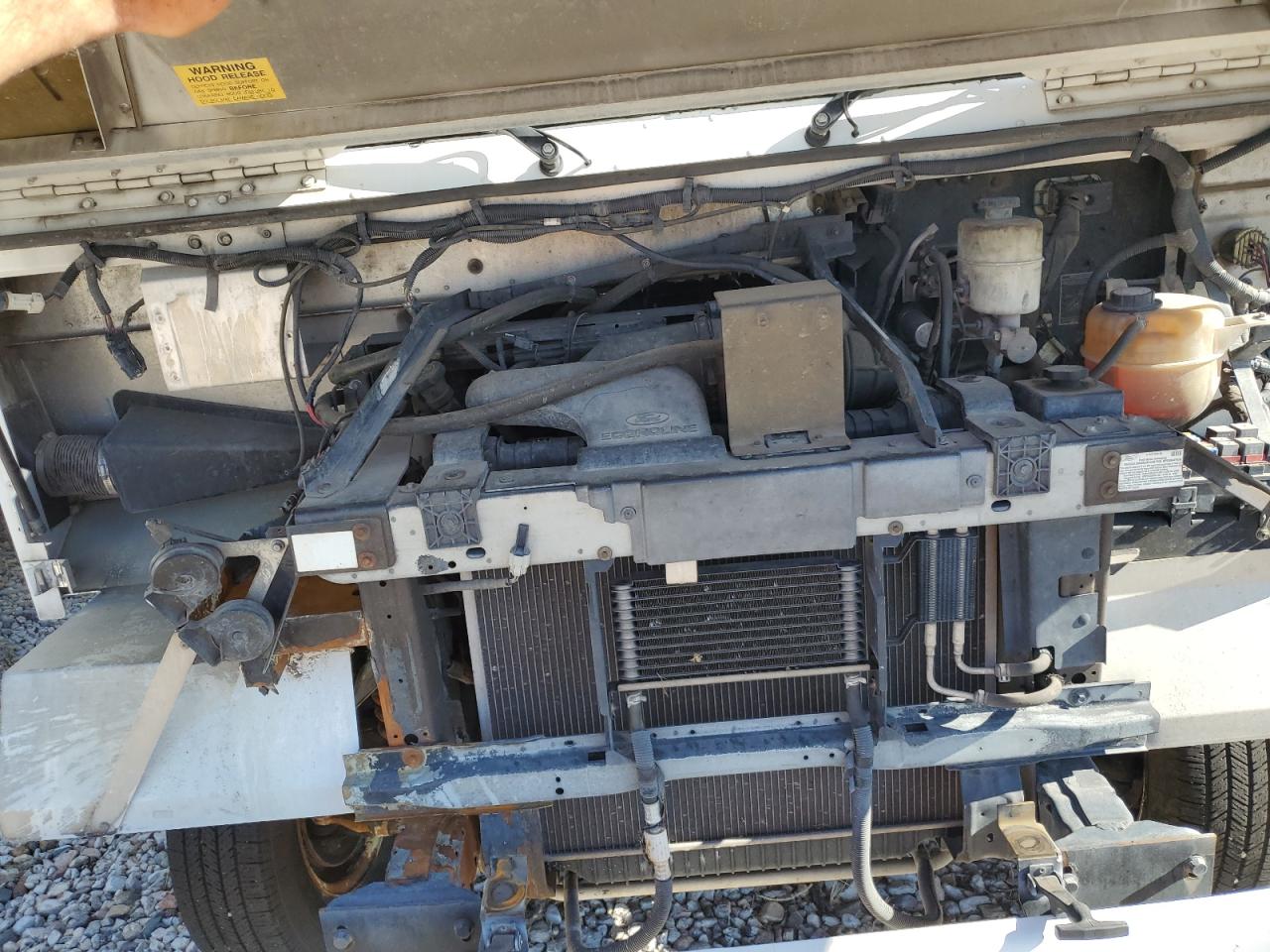 2006 Ford Econoline E450 Super Duty Commercial Stripped Chassis VIN: 1FCLE49L46HB12443 Lot: 67795994