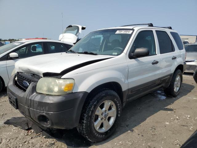 2007 Ford Escape Xlt