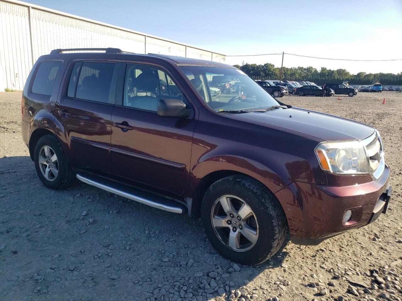 2009 Honda Pilot Exl VIN: 5FNYF48569B014802 Lot: 69774324