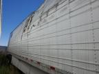 2023 Gdan Reefer for Sale in Martinez, CA - All Over