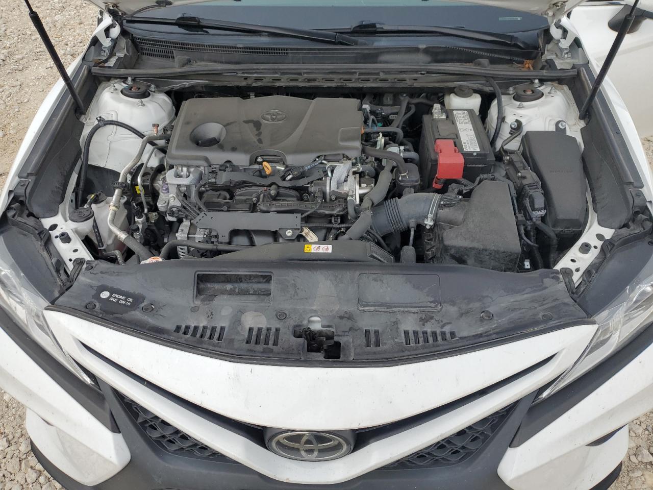 4T1B11HK1KU855363 2019 Toyota Camry L/Le/Xle/Se/Xse