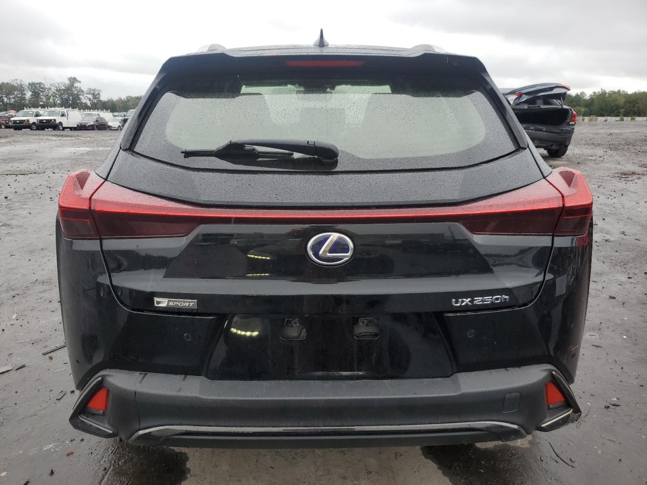 JTHR9JBH2M2054396 2021 Lexus Ux 250H