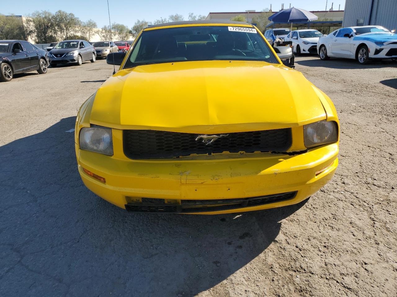 2005 Ford Mustang - Image 5