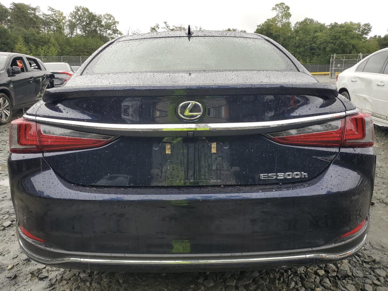 2019 Lexus Es 300H VIN: JTHB21B16K2028986 Lot: 72977124