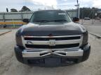 2009 Chevrolet Silverado C1500 на продаже в Fort Pierce, FL - Side