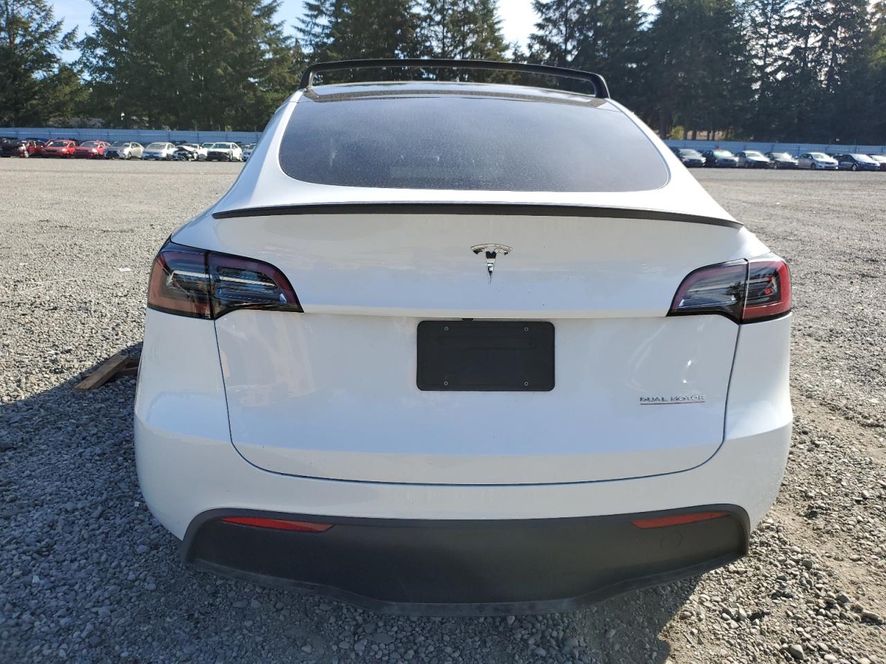 2023 Tesla Model Y VIN: 7SAYGDEF3PF739185 Lot: 72945374