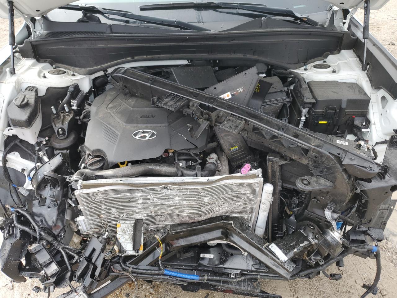 KM8R3DGE0RU727101 2024 Hyundai Palisade Xrt