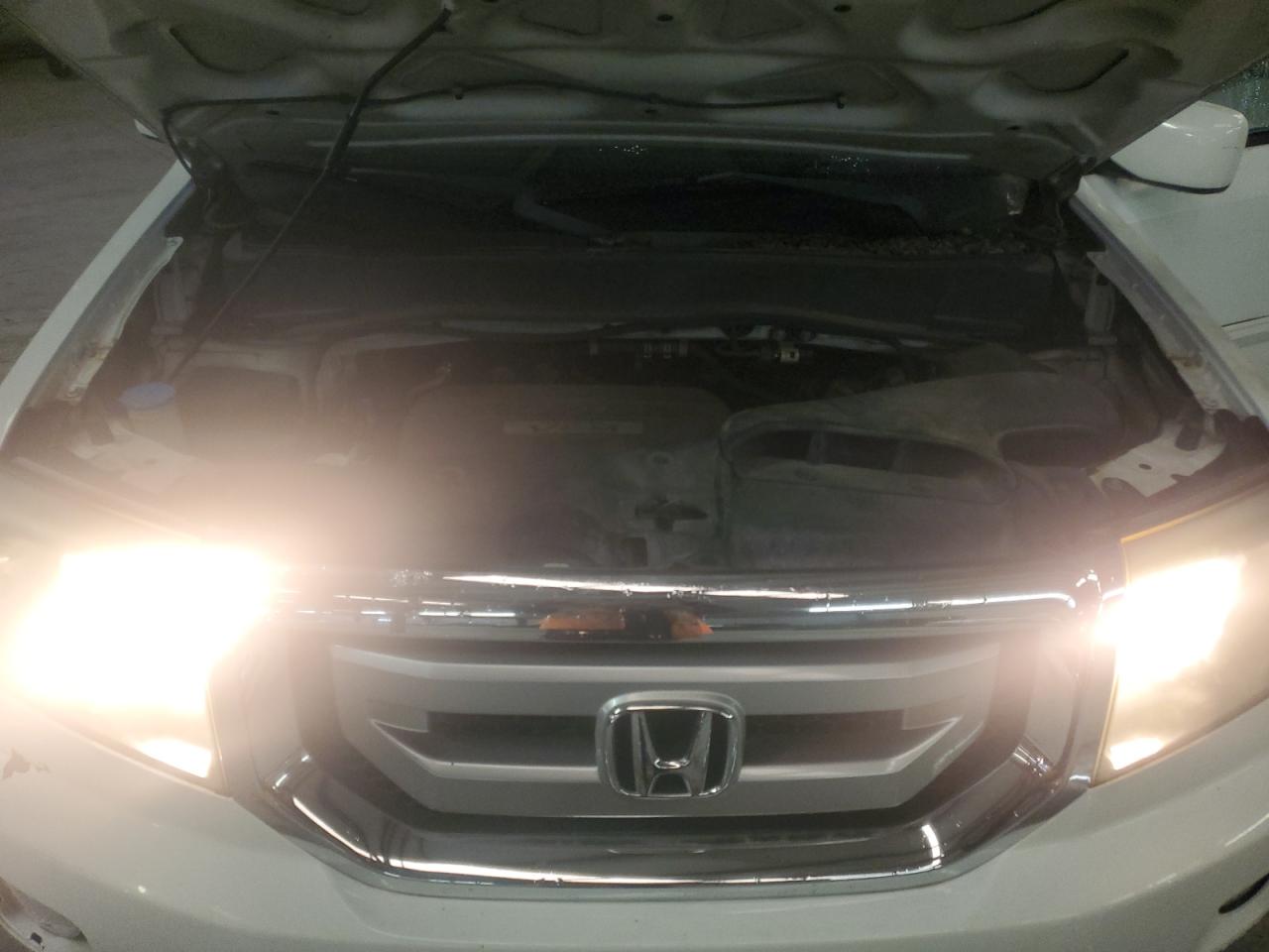 5FNYF3H55AB008150 2010 Honda Pilot Exl