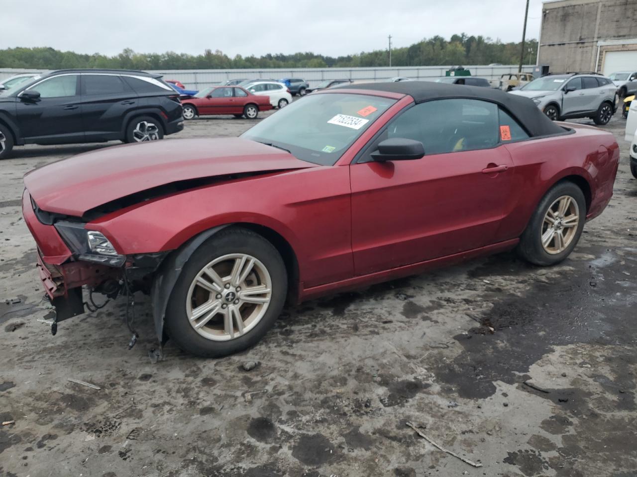 2014 Ford Mustang VIN: 1ZVBP8EMXE5285683 Lot: 71522534