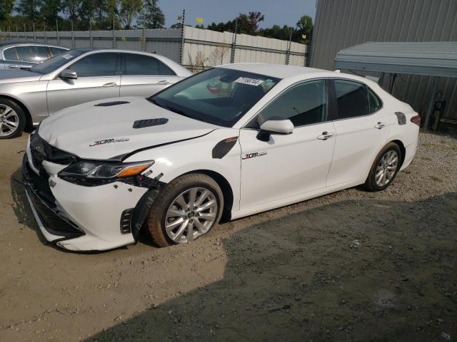 4T1C11AKXLU348848 Toyota Camry LE