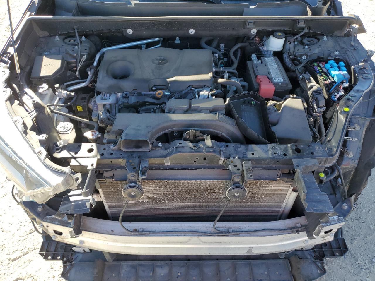 2T3P1RFV8KC006759 2019 Toyota Rav4 Xle