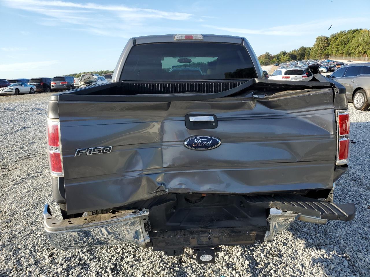 2010 Ford F150 Supercrew VIN: 1FTEW1C89AFB95476 Lot: 69808774