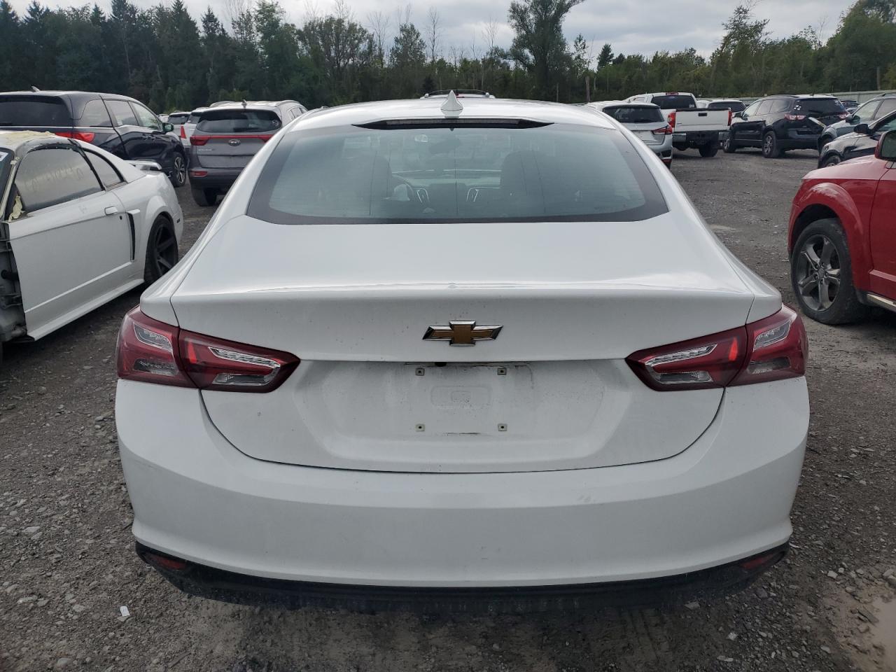 2019 Chevrolet Malibu Lt VIN: 1G1ZD5ST1KF205447 Lot: 70018634