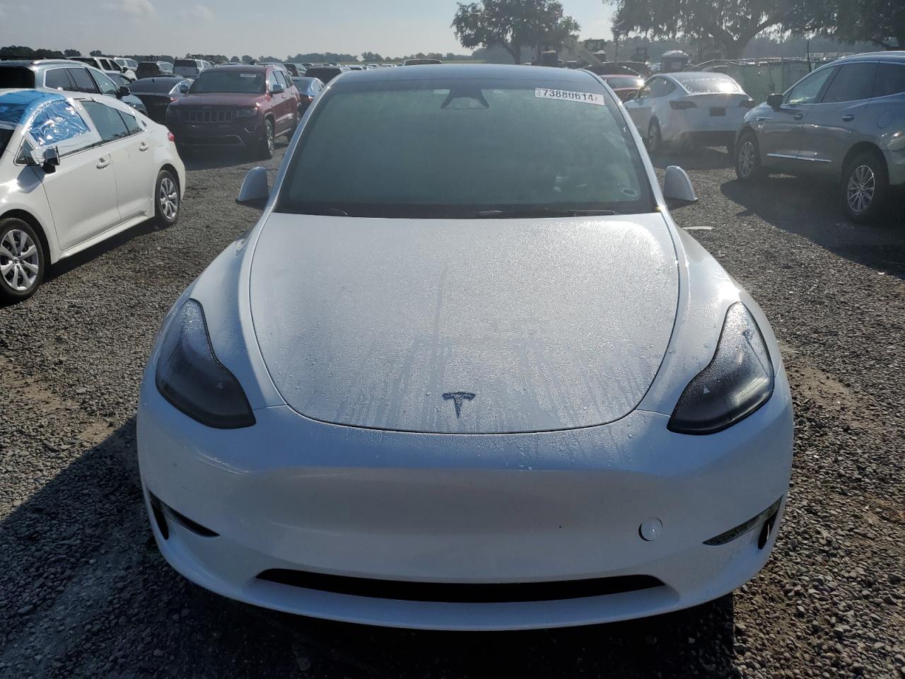 2024 Tesla Model Y VIN: 7SAYGDEE1RA262814 Lot: 73880614