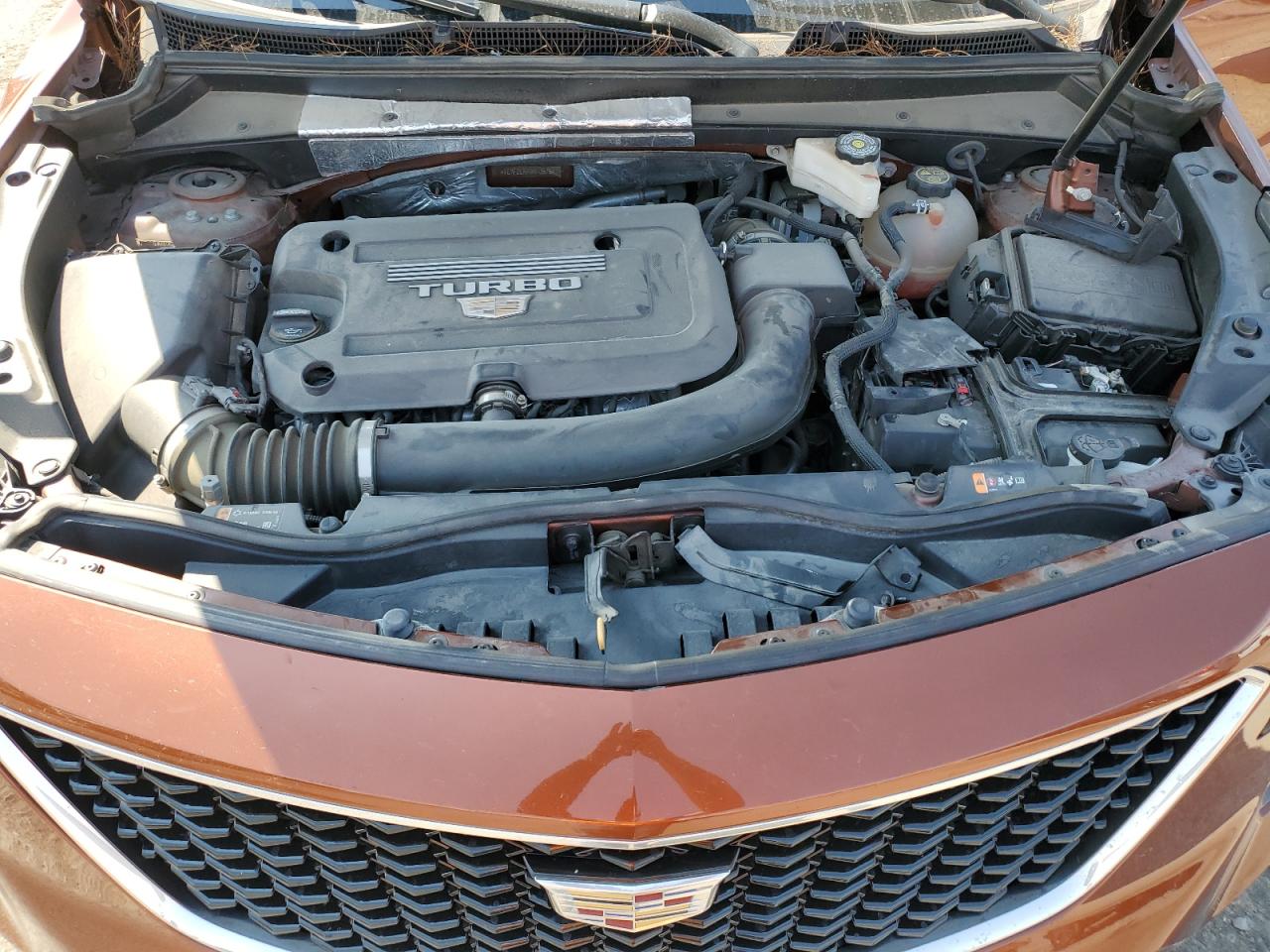 2021 Cadillac Xt4 Sport VIN: 1GYFZER49MF057541 Lot: 70654544