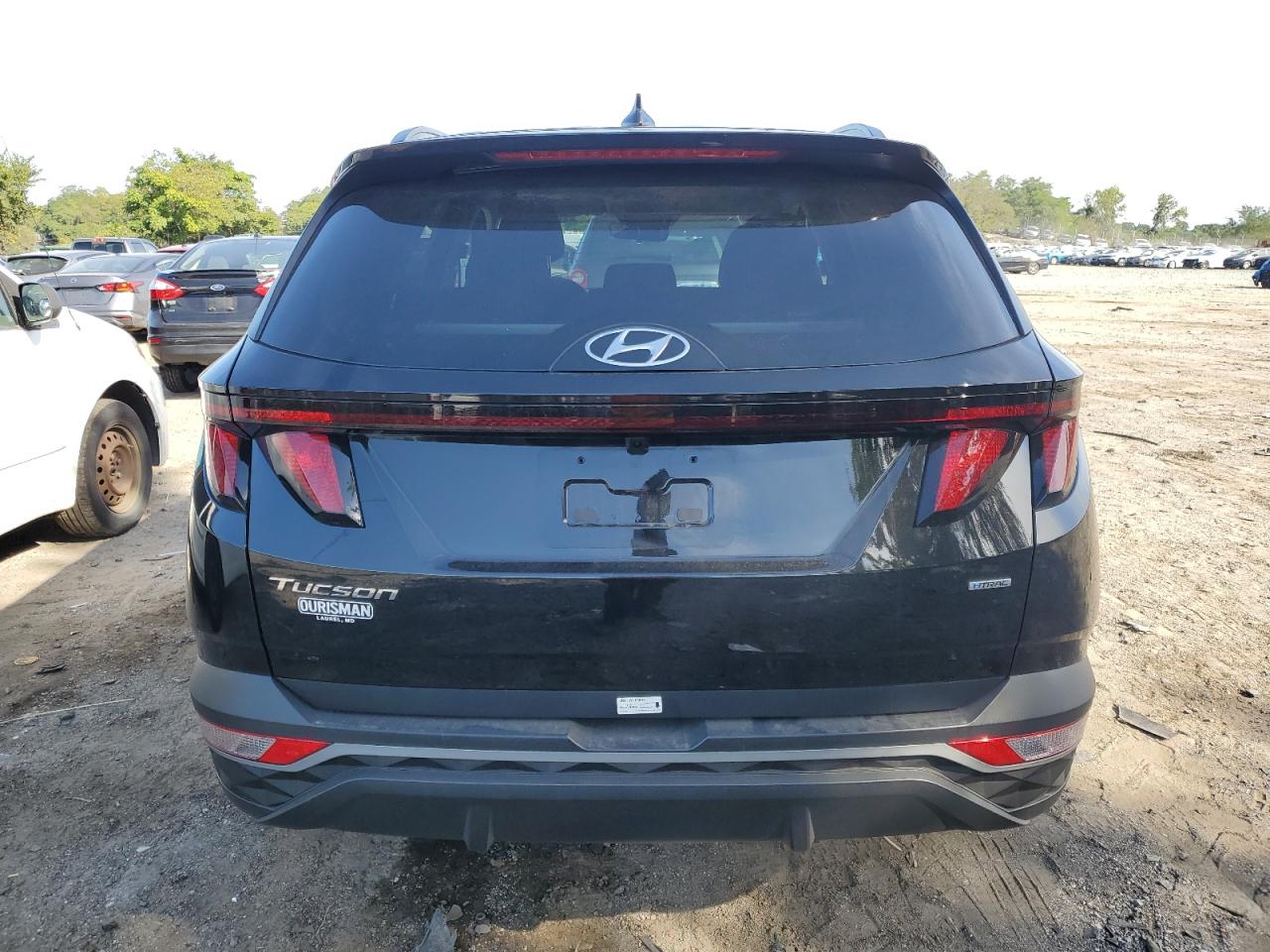 2024 Hyundai Tucson Sel VIN: 5NMJBCDE5RH332468 Lot: 70308614