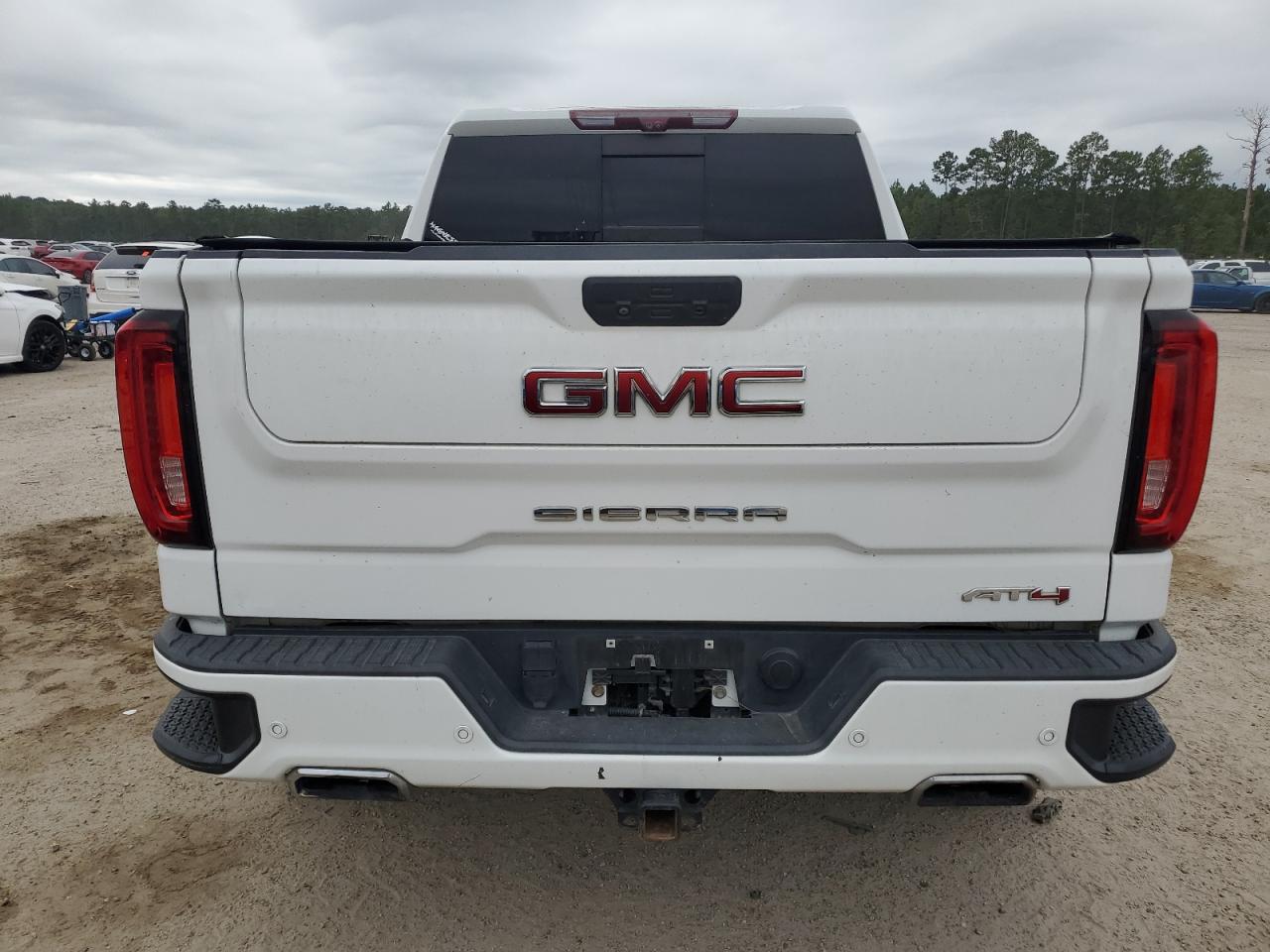 2020 GMC Sierra K1500 At4 VIN: 3GTP9EELXLG193259 Lot: 69753814