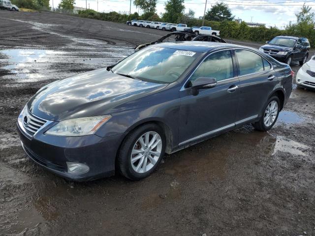 2010 Lexus Es 350