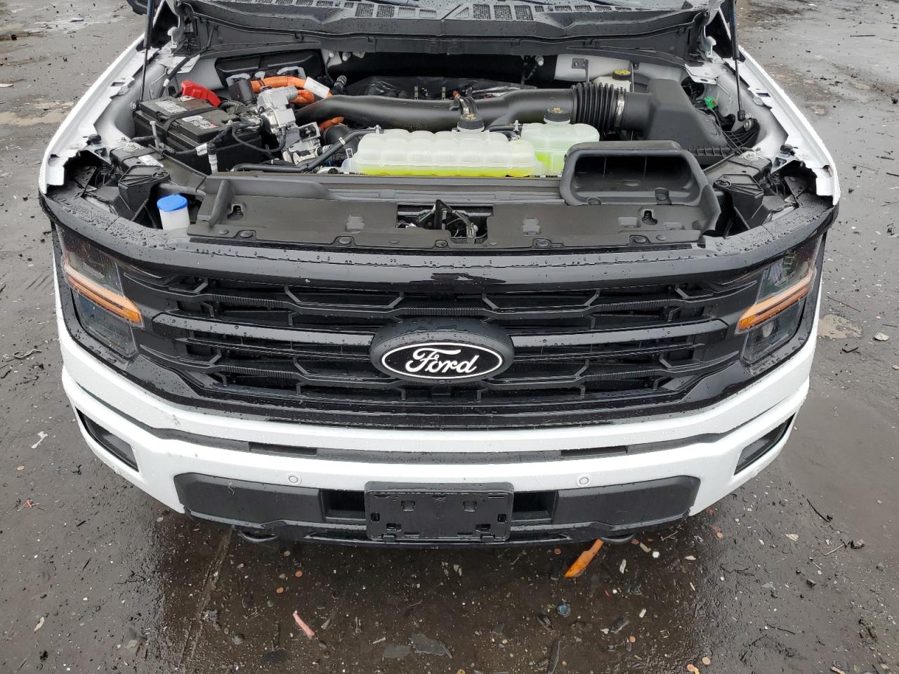 2024 Ford F150 Xlt VIN: 1FTFW3LD3RFA89968 Lot: 72567864