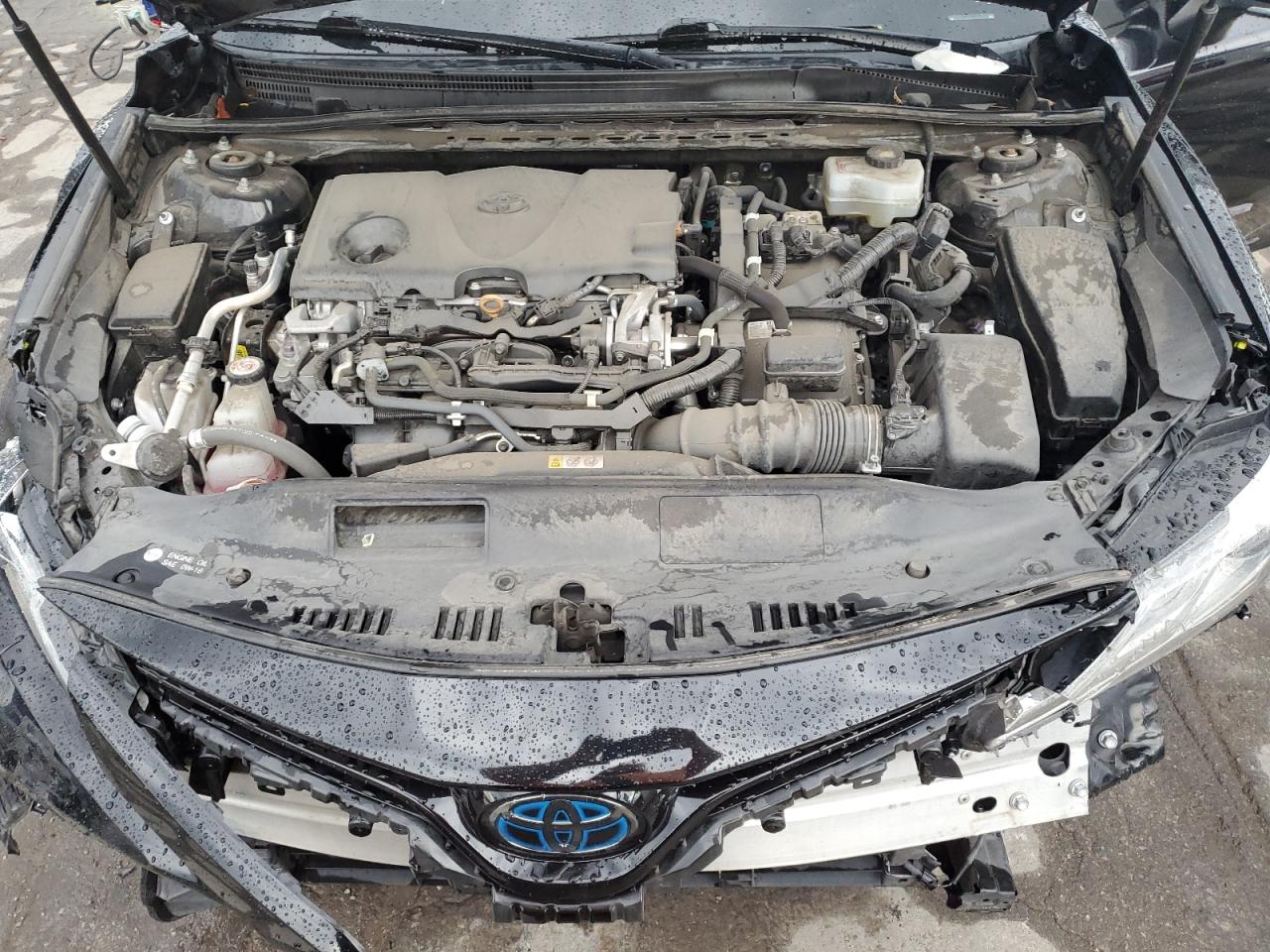 4T1F31AKXLU532081 2020 Toyota Camry Xle