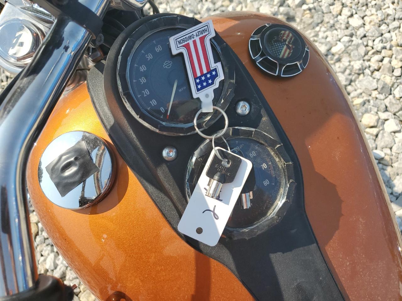 2014 Harley-Davidson Fxdl Dyna Low Rider VIN: 1HD1GNM20EC330119 Lot: 70872394